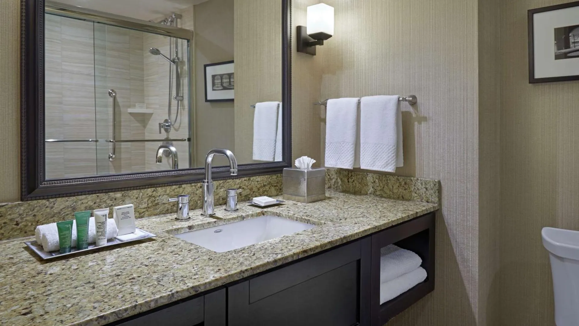 Hotel Hilton Toronto